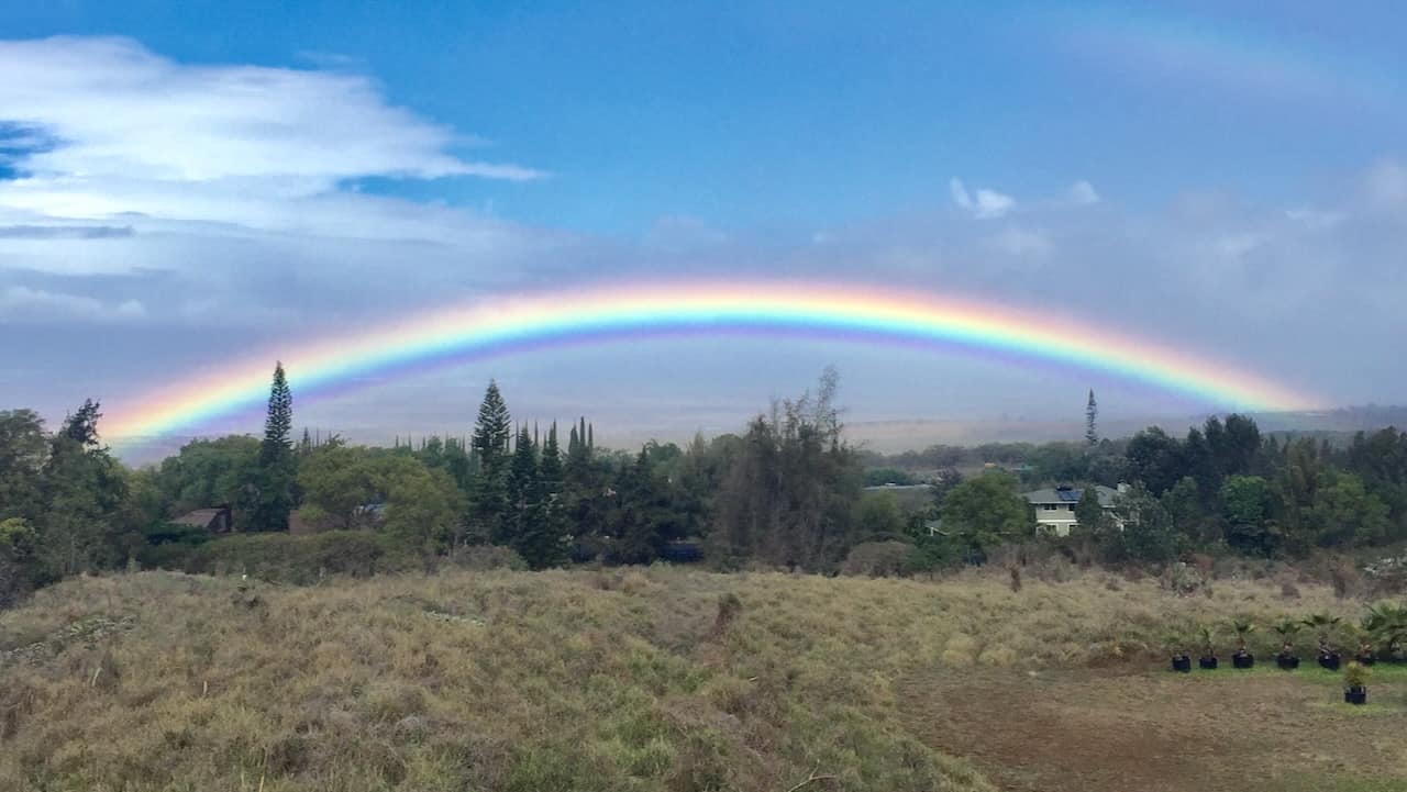 rainbow view in kula maui