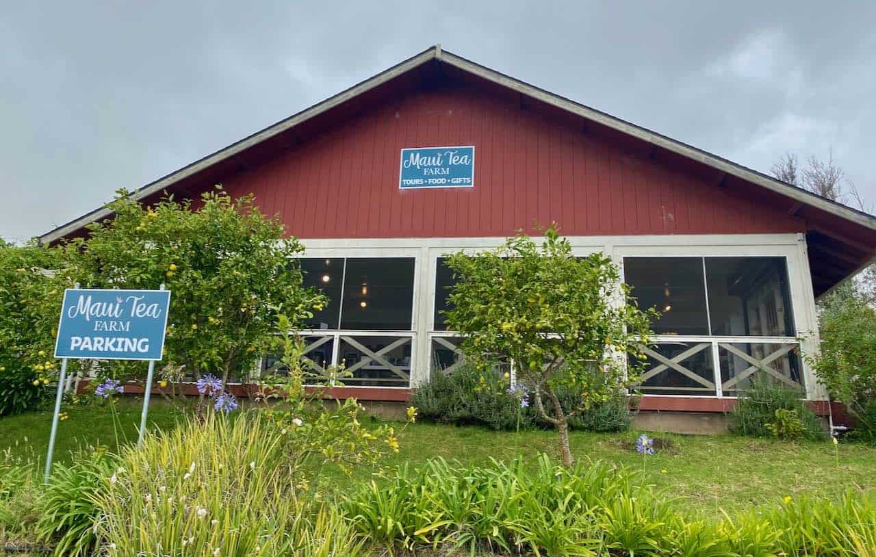 maui tea farm shop